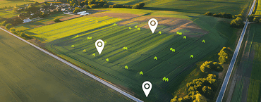 Land & Micro-Market Selection